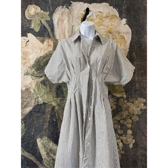 New Anthropologie The Tobie Button-Front Pleated Shirt Dress by Exquise Size S - Picture 7 of 11